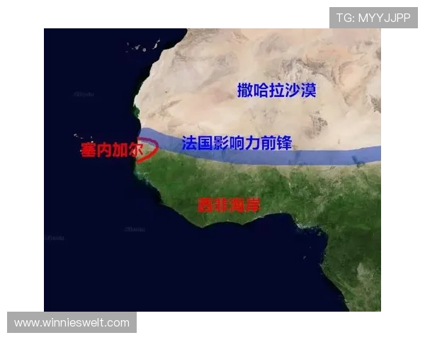 世界杯塞内加尔对阵伊拉克比赛竞猜注意事项详解与投注技巧指南 世界杯塞内加尔对阵伊拉克比赛竞猜注意事项详解与投注技巧指南